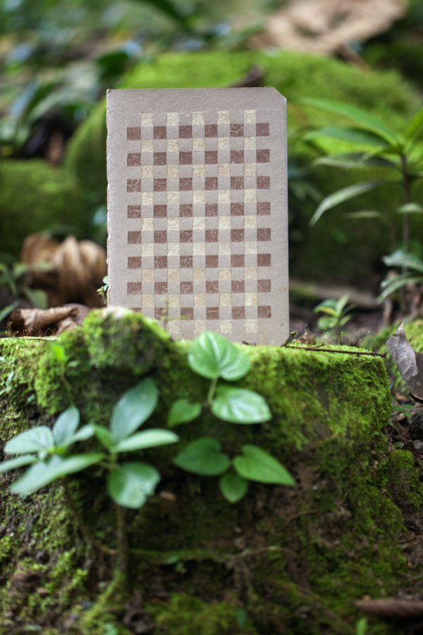 Cuadernos Ana Rosa (tapa dura) - Imagen 2
