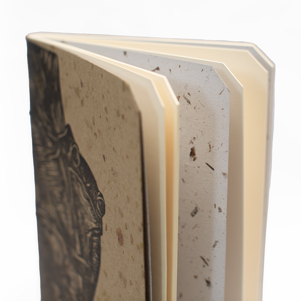 Cuaderno Rana en Árbol A6 Fondo Blanco - Imagen 2