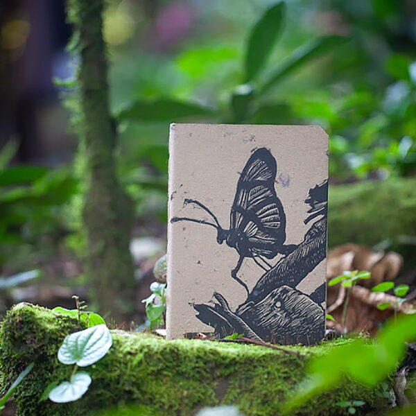Cuaderno Mariposa A6 Fondo Carton