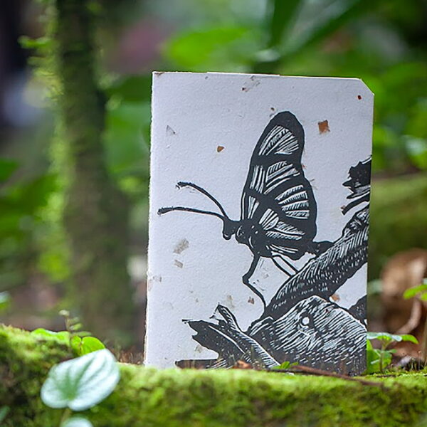 Cuaderno Mariposa A5 Fondo Blanco