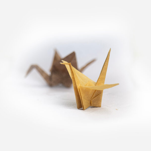 Kit de Origami - Imagen 7