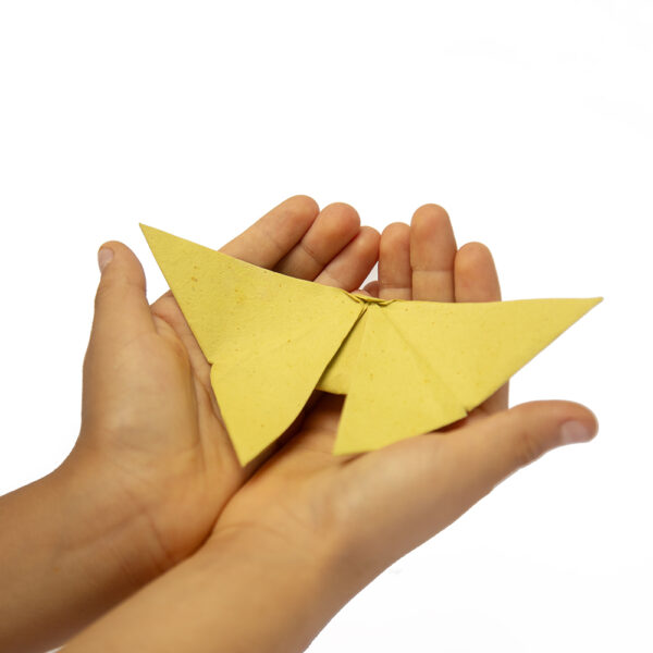 Kit de Origami - Imagen 5
