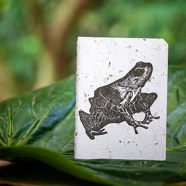Cuaderno Rana en Árbol A6 Fondo Blanco