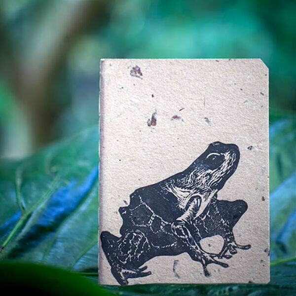 Cuaderno Rana en Árbol A6 Fondo Carton