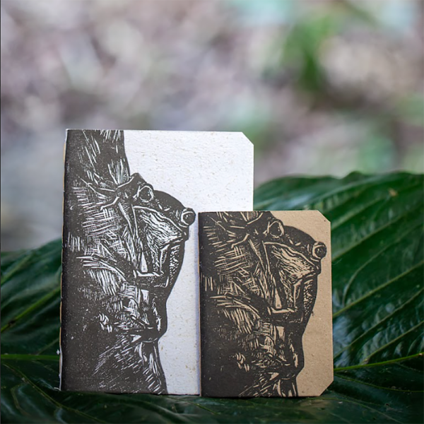 Cuaderno Rana en Árbol A5 Fondo Blanco
