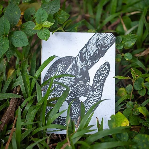 Cuaderno Culebra A5 Fondo Blanco