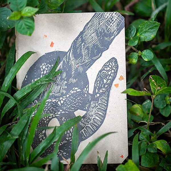 Cuaderno Culebra A5 Fondo Carton